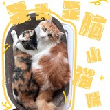 NieNie欧妮
