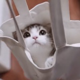 你管我呢