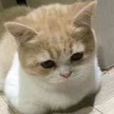 快乐的小市民