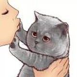 曹宗强