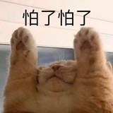 晃己