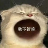 盛夏白瓷梅子汤
