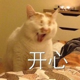 蜂蜜芥末酱