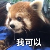 铁板豆腐炸豆皮