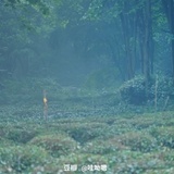 就你行