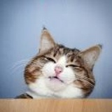 Wong_