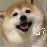 晚