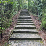 映小闲