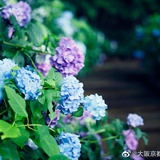 、