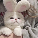 今天吃什么呀