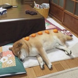 长期股权投资