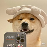 策划狗