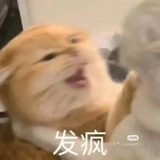 不要熬夜了kun