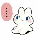 kivo