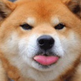 厚