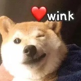 展逸文