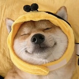 王早起