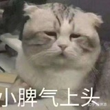耶啵耶啵奶茶