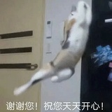 杠我你就对