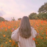 昄月