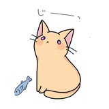 小猫爱吃三文鱼