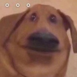 嘟嘟嘟
