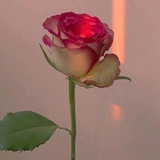 一块扣肉吖