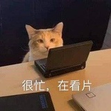 噢噢噢是你吗