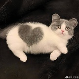 江左风华
