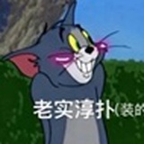 假老练又闯祸了