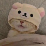 嘿嘿