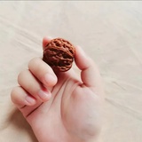 一只核桃
