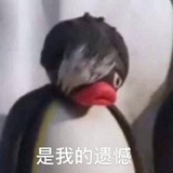 嘻嘻嘻嘻嘻嘻嘿