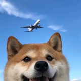 苏沐秋