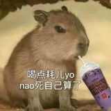 朦吃板面