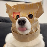Mzx77777