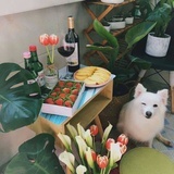 丁丁丁
