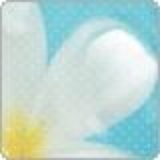 我喜欢你是寂静