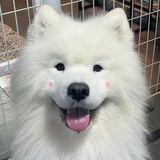 Yuliaycya