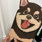 Tt学弟
