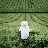 小骄傲