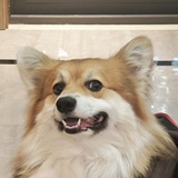 登什莱堡