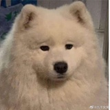 偏偏旷课