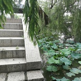 喜欢没有理由