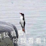 咩呀