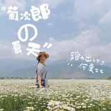 杨兰爱大理