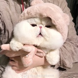 武汉在逃豆皮