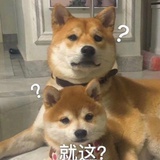 乱码主义的我