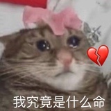 对方不输入了