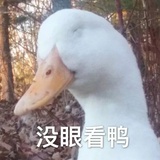 丢了猫的尾巴